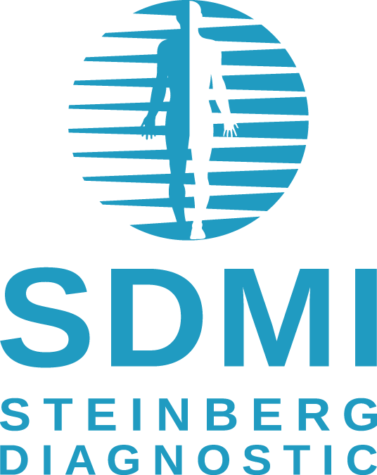 SDMI LG vert Blue Transparent